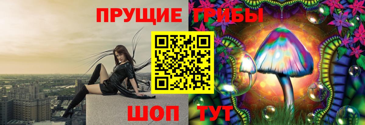 Псилоцибиновые грибы Psilocybine cubensis  Псилоцибиновые грибы Cubensis  цены наркотик  Вход с VPN  Всеволожск 